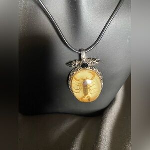 Scorpion Pendant Necklace in stainless steel. Glows in the dark